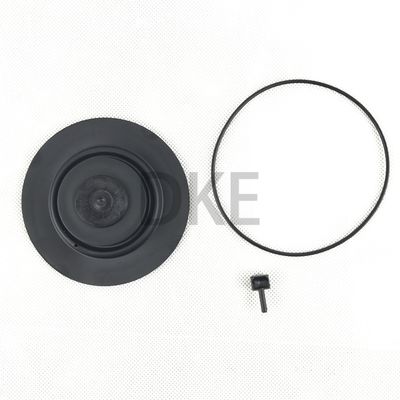 Goyen Tipo K2549 Kit di manutenzione della valvola d'impulso RCAC25 Serie T3, DD3, FS3