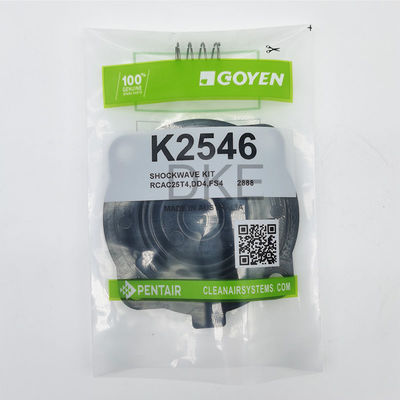 Goyen Tipo 2546 K2549 Kit di manutenzione della valvola d'impulso RCAC25 Serie T3, DD3, FS3,