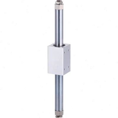 CY3B10 - 100/200/300/400/500 cilindro a pistone senza pali con funzionamento senza lubrificante