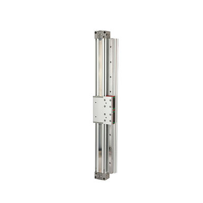 Cylindro pneumatico a pistone personalizzabile MY1H20-100 /200/300/...1500/... /2000