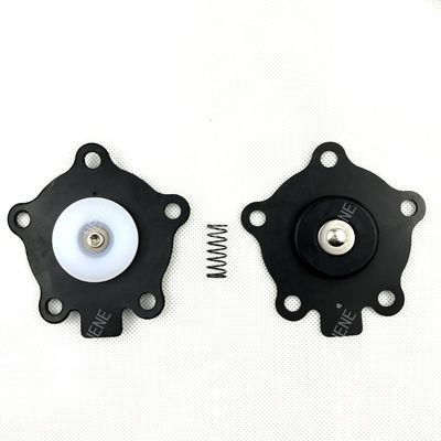 K2003 (M1174B) GOYEN Valvola d'impulso Kit di riparazione del diaframma Valvola modello RCA20M 8002047