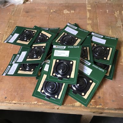 Kit di manutenzione Goyen RCAC20 Tipo K2034 Serie T4, ST4, DD4, FS4 Materiale nitrile scelta migliore