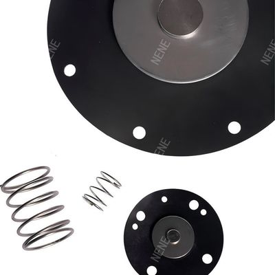 2 pollici K5000 Kit di riparazione della valvola di tipo Goyen CA50T/RCA50T/CA62T/RCA62T 2"