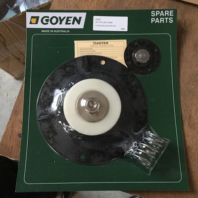 2 pollici K5000 Kit di riparazione della valvola di tipo Goyen CA50T/RCA50T/CA62T/RCA62T 2"