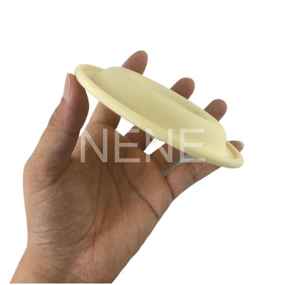 3/4" Inch 93465 93111 DN20 Ingersoll Rand Pompa Diaframmi Santoprene/PTFE Diaframma Kit di riparazione PD07P-APS-PAA PD07P-APS-PTT