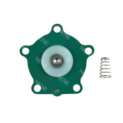 TH-5820-B MD01-20 MD02-20 Diaframma per elettrovalvola a impulsi Taeha da 3/4'' TH-4820-B TH-5825-B TH-5820-C TH-4820-C