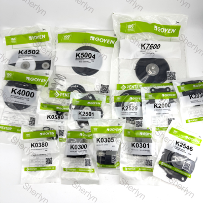 GOYEN K2529/2530 Kit di riparazione del diaframma da 1 pollice RCAC25T3/DD3/FS3 1 "Fluorgomma/Nitrile Gomma