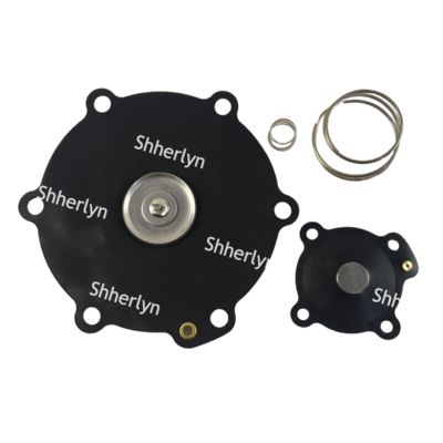 Kit di riparazione membrana Mecair 2 pollici DB116 DB16 VNP216 VEM216 VNP316 VITON Personalizzazione