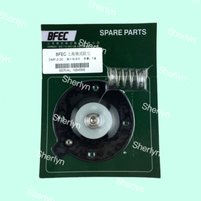 BFEC DMF-Z-20S angolo destro 3/4 pollici Diaframma tipo sacchetto di riparazione di polvere Valvola di impulso elettromagnetico