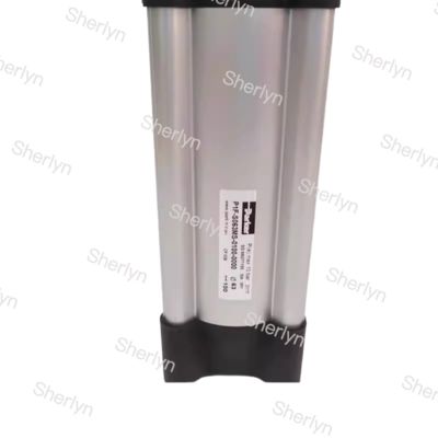 Cilindro Standard Parkrer P1F-S032MC-0100-0000  G 1/8 Porte