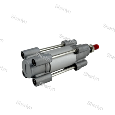 RA/802032/M/125 Cilindro a doppio effetto 32mm di diametro 125mm di corsa