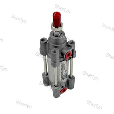 RA/802032/M/125 Cilindro a doppio effetto 32mm di diametro 125mm di corsa