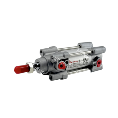 Automazione cilindro 32 mm di diametro RA/802032/M/100 NORGREN RA serie doppia azione