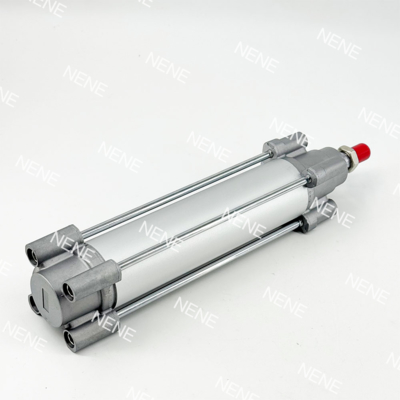 RA/802040/M/100 40 Cilindro Diametro 100 Corsa ISO 15552 Cilindro Pneumatico a Pistone Standard