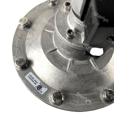 Valvola di impulso elettromagnetico GOYEN CA62T 2 1/2 angolo retto Tipo di diaframma adatto K5004 K5000