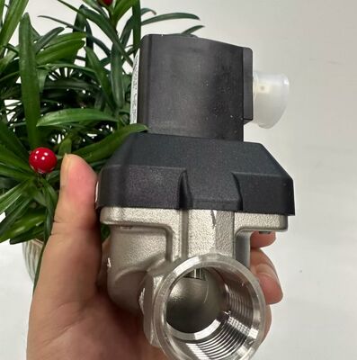 BurkeRT 6213EV 00222168 00222169 00222170 Valvola solenoide normalmente chiusa Valvola solenoide in acciaio inossidabile Valvola di controllo pneumatico