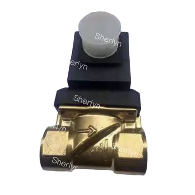 Burkert 00322515 G3/8 6281 Tipo Valvola elettromagnetica a due posizioni Valvola idrica a due vie AC24V