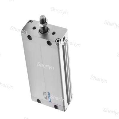 Doppia azione di 100 mm DZF-12-100-A-P-A 161229