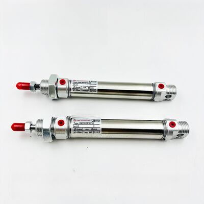 RM/28010/50 RM/28010/100 NORGREN Cilindrico a azione singola