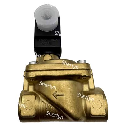 Elettrovalvola BURKERT 6281 Tipo 00221935 G3/4 AC24V