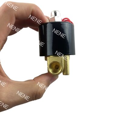 Valvola a solenoide SUW-50 da 2 pollici in acciaio inossidabile