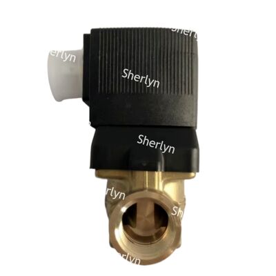 BURKERT 00221880 6281 Valvola solenoide G1 2/2 NC Valvola di controllo del fluido ad alta temperatura