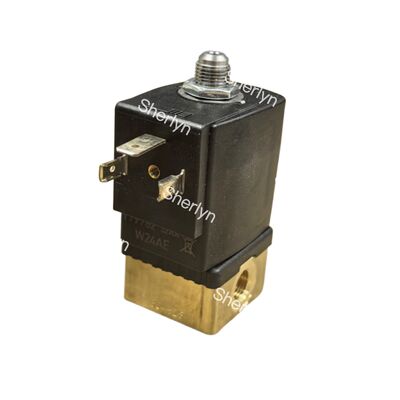 24V DC FKM Valvola solenoidale di ottone sigillata ad alto flusso Burkert 00270133 G1 1/4 Port, 40 mm di orifizio, 0,2-16 bar, temperatura media fino a +120°C