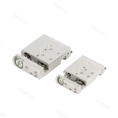 Componente scorrevole lineare compatto a spinta pesante FESTO SLF-16-20-P-A 170512 Azionamento pneumatico in alluminio piatto 16 × 20 mm per l'automazione del posizionamento delle celle della batteria
