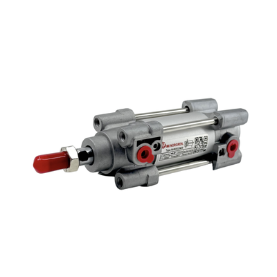 Industrial RA/802032/M/25 IMI Norgren Attuatore d'aria magnetica 1-16 bar Pressione di lavoro Barile anodizzato