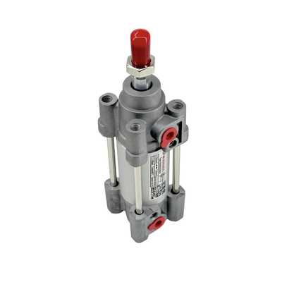 Industrial RA/802032/M/25 IMI Norgren Attuatore d'aria magnetica 1-16 bar Pressione di lavoro Barile anodizzato