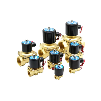 Tolleranza di tensione ±10 per cento Valvola solenoidale che supporta da 0 a 0,5 MPa di gamma di pressione che fornisce il controllo nelle applicazioni industriali 2W-040-10