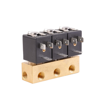 1913BA161 1913BA251 Valvola d'acqua in ottone con materiale di tenuta NBR 1/8'' Port Size 2/2 Normalmente chiusa