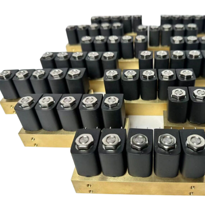 Valvola dell'acqua 1913BB161 Incluso materiale di tenuta FKM Attacco da 1/8'' 2/2 vie Normalmente aperta Funzionamento ad azione diretta