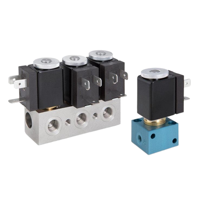 1913BA252-S NBR Diaframma Valvola solenoide pneumatica 2.5mm Oriffici dimensione 2 Way Port normalmente chiuso 1/4' Dimensione