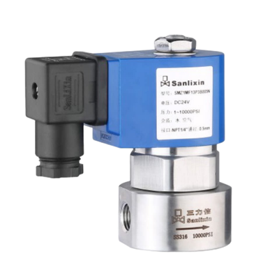 H4S005B02-AC-24 PEEK Materiale di sigillo 1/4'' 24VAC Uovo dimensione 0,5 mm 2 Way NC Valvola solenoide ad alta pressione Acciaio inossidabile 316