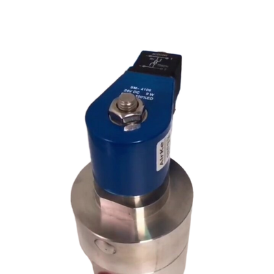 H3S10B03 Materiale di sigillamento PEEK Valvola solenoide pneumatica 10 mm Uovo di dimensione 2 Strada normalmente chiuso Corpo in acciaio inossidabile 3/8 Port Size