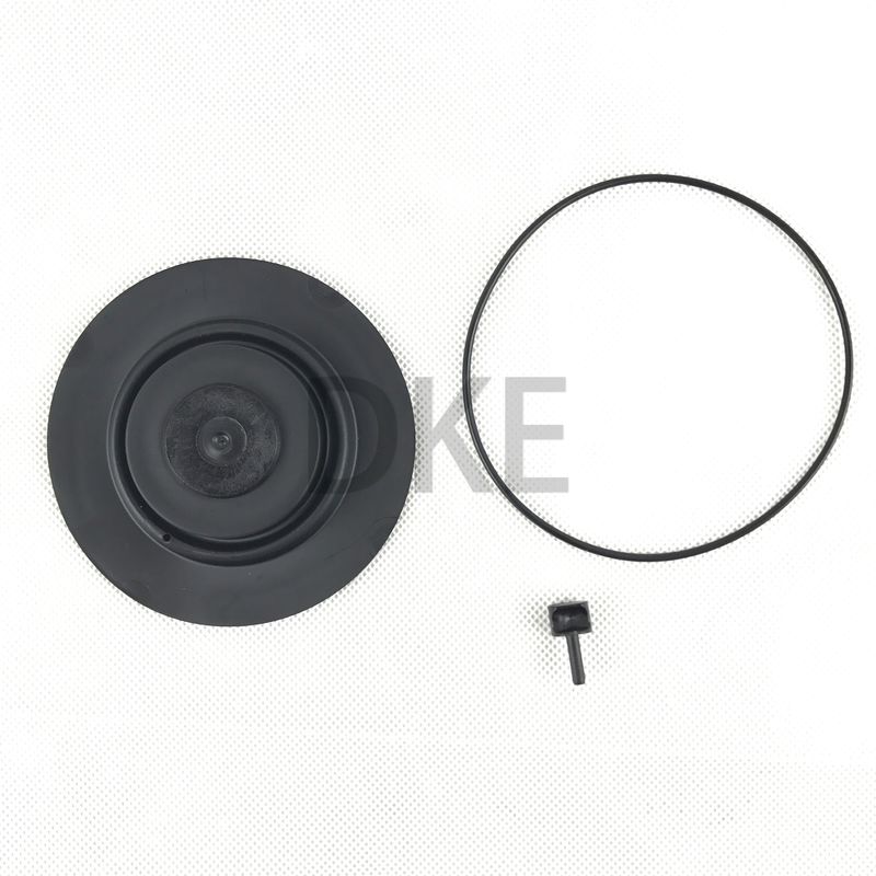 Goyen Tipo K2549 Kit di manutenzione della valvola d'impulso RCAC25 Serie T3, DD3, FS3