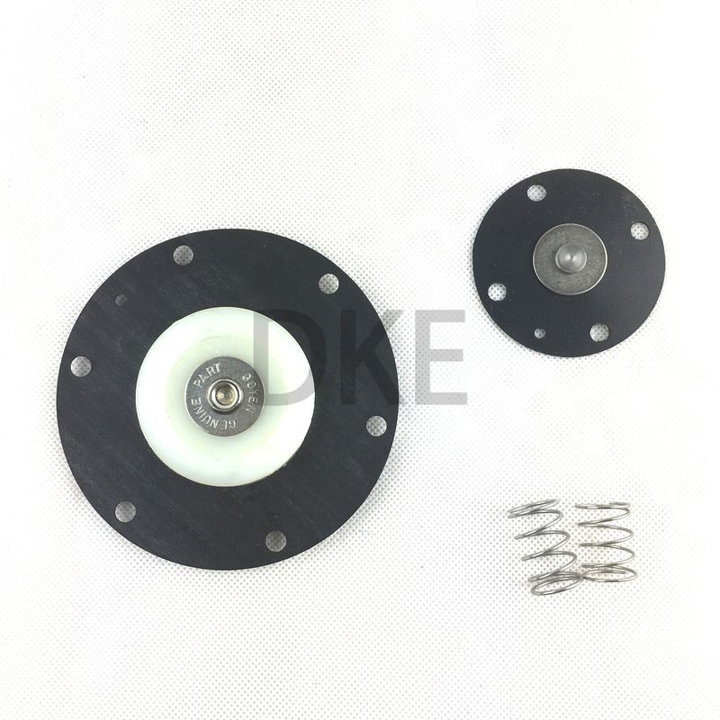 Kit di manutenzione delle valvole Goyen K4000 (M1182) CA40 RCA40 Valve Model DD, MM Series