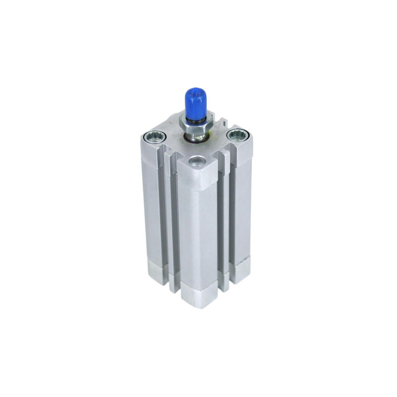 ADN-40-5-A-P-A 536289 Festo Compact Cylinder Stroke 5 mm di diametro del pistone 40 mm di filo della canna del pistone M10x1.25