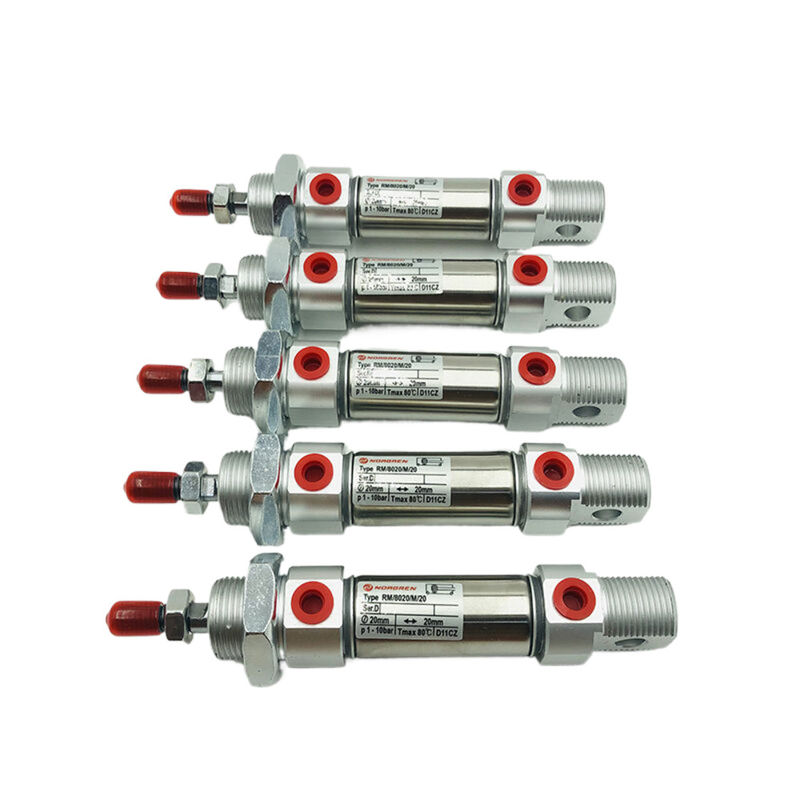 NORGREN Operazione cilindro a doppio effetto a pistone magnetico RM/8012/M/250 per varie applicazioni