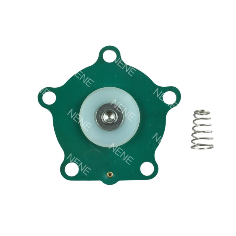 TH-5820-B MD01-20 MD02-20 Diaframma per elettrovalvola a impulsi Taeha da 3/4'' TH-4820-B TH-5825-B TH-5820-C TH-4820-C