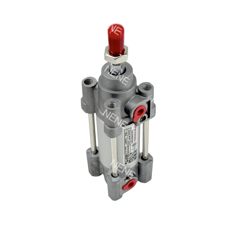 Automazione cilindro 32 mm di diametro RA/802032/M/100 NORGREN RA serie doppia azione
