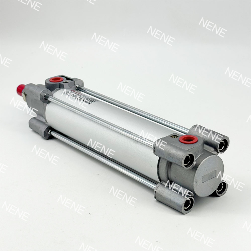RA/802040/M/100 40 Cilindro Diametro 100 Corsa ISO 15552 Cilindro Pneumatico a Pistone Standard