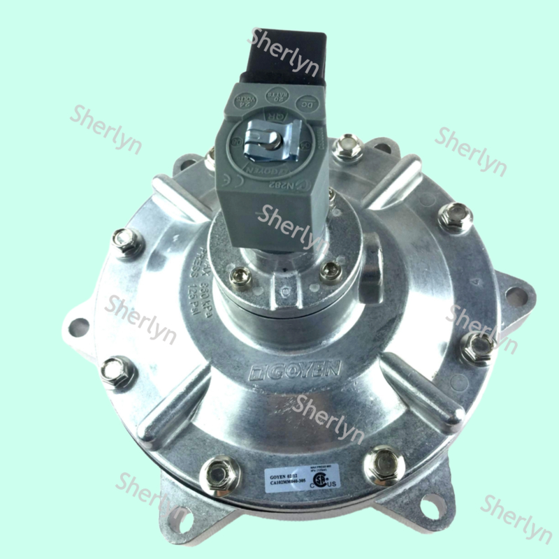 GOYEN CA102MM 4-inch '' Full Immersion Pulse Jet Valve For Bag Filter 24V DC 220V AC