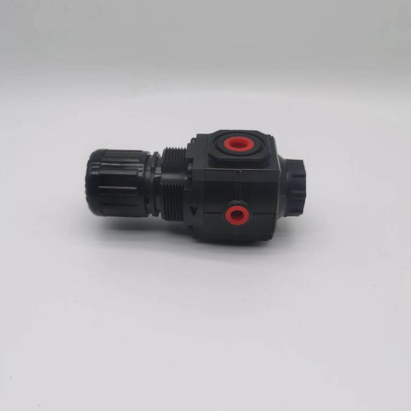 R73G-2BK-RMN Excelon regolatore di pressione per uso generale G1/4 0,3-10 bar senza calibro NORGREN
