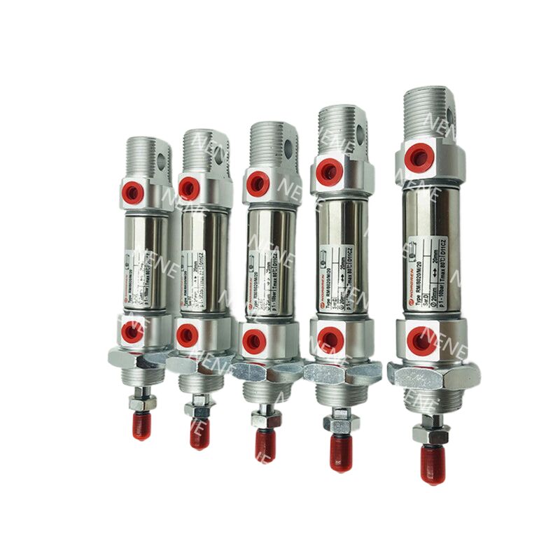 RM/28010/160 Profilo Corto Heavy Duty Ø10mm Corsa 160mm IMI NORGREN Cilindro Roundline Compatibile con Reed Switch