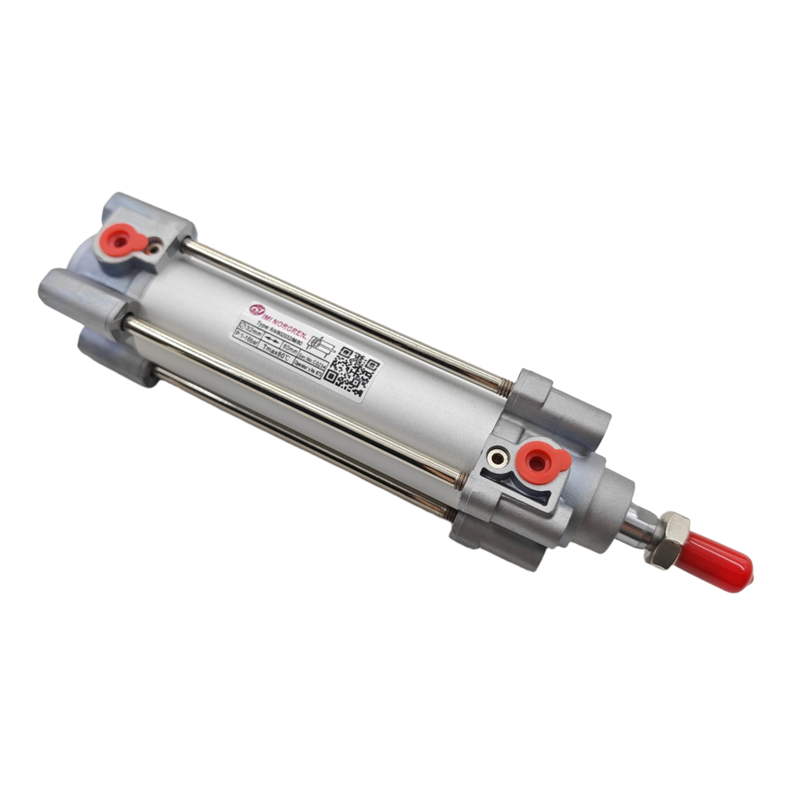 Norgren RA/802063/M/700 Cilindro pneumatico 700 mm canna inossidabile per sistemi di palettatura