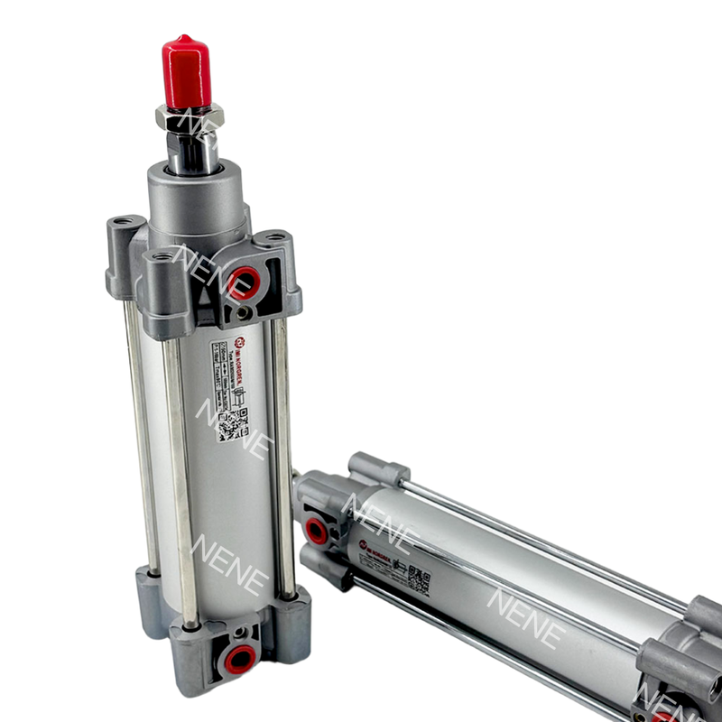 RA/802100/M/100 Bollitore d'aria industriale IMI Norgren 100 mm Stroke G1/2 Pistoletto magnetico Standard ISO