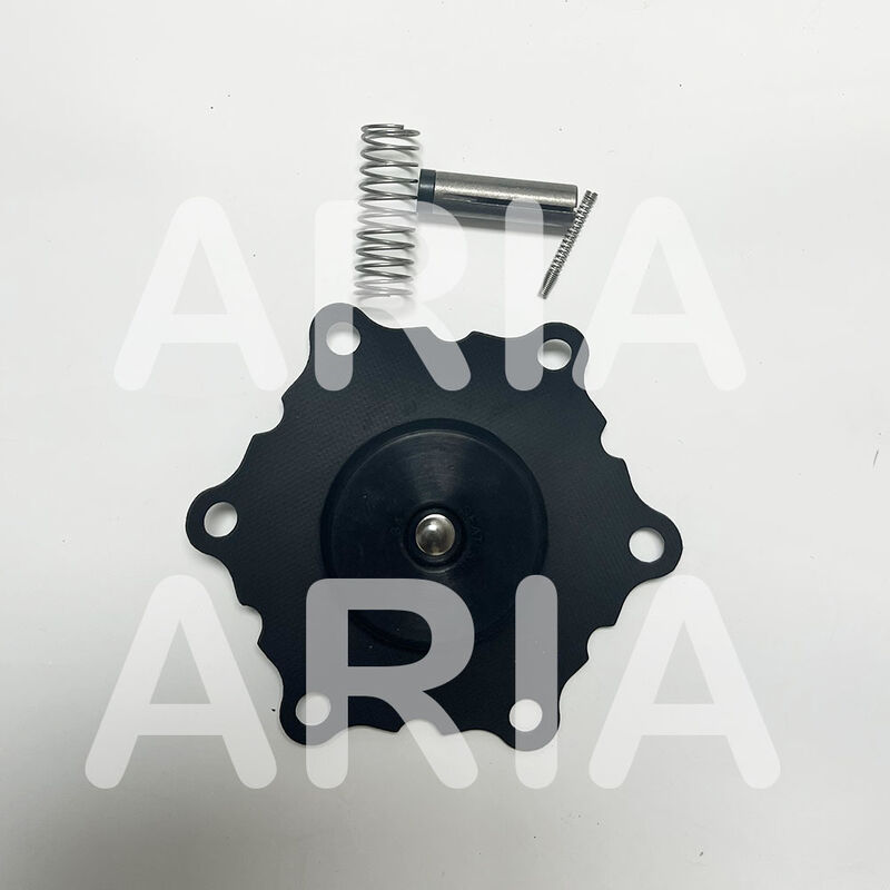 Kit di riparazione ASCO K302284 K302383 per elettrovalvola SCE210D022 8210G022, ricambi diaframma 1-1/2" DN40