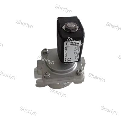 Elettrovalvola di controllo a solenoide Burkert in acciaio inossidabile 00228394 G1 AC24V